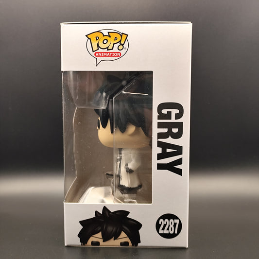 Gray - 2287 - 100 Years Quest