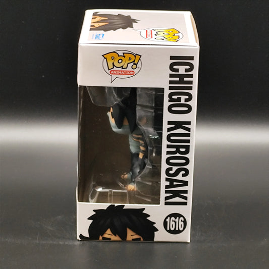 Ichigo Kurosaki - 1616 - Special Edition