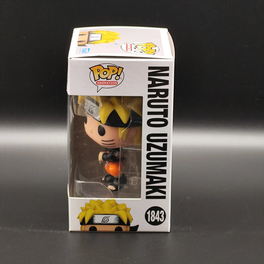 Naruto Uzumaki - 1843